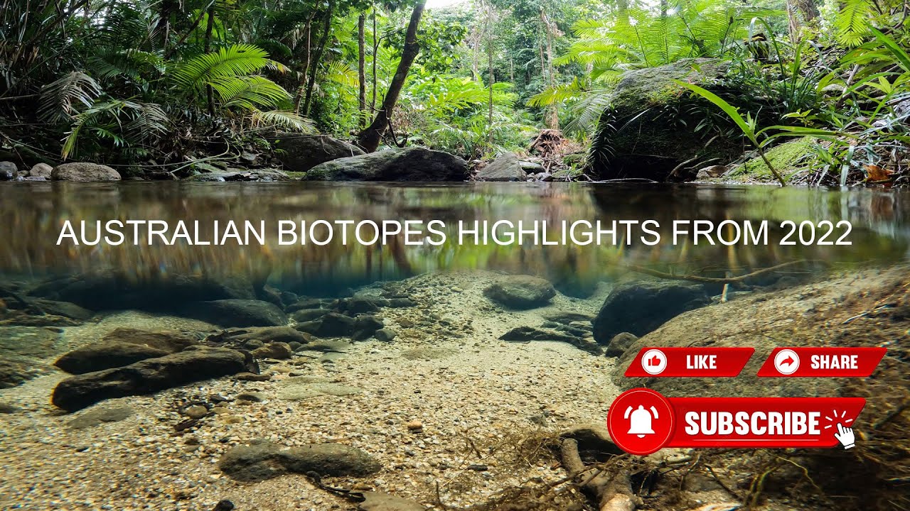 Australian Biotopes highlights from 2022