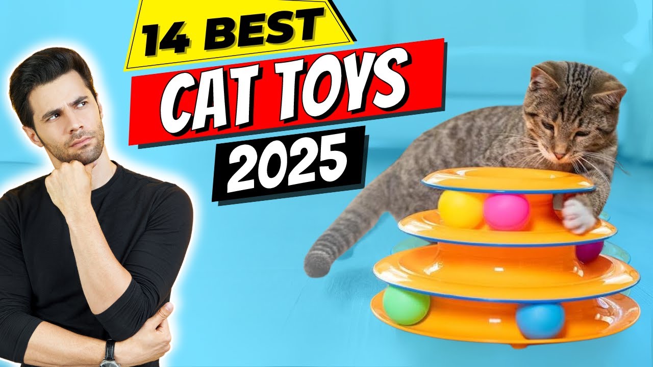 Best Cat Toys of 2025 | 14 Cat Toys That Will Make Your Pet OBSESSED!