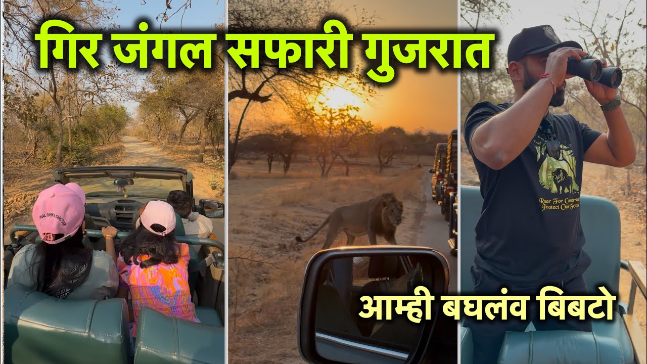 जंगल सफारी आमका दिसलो बिबटो | Vlog No.182 #gujratturisum #girforest #junglesafari #sasangir