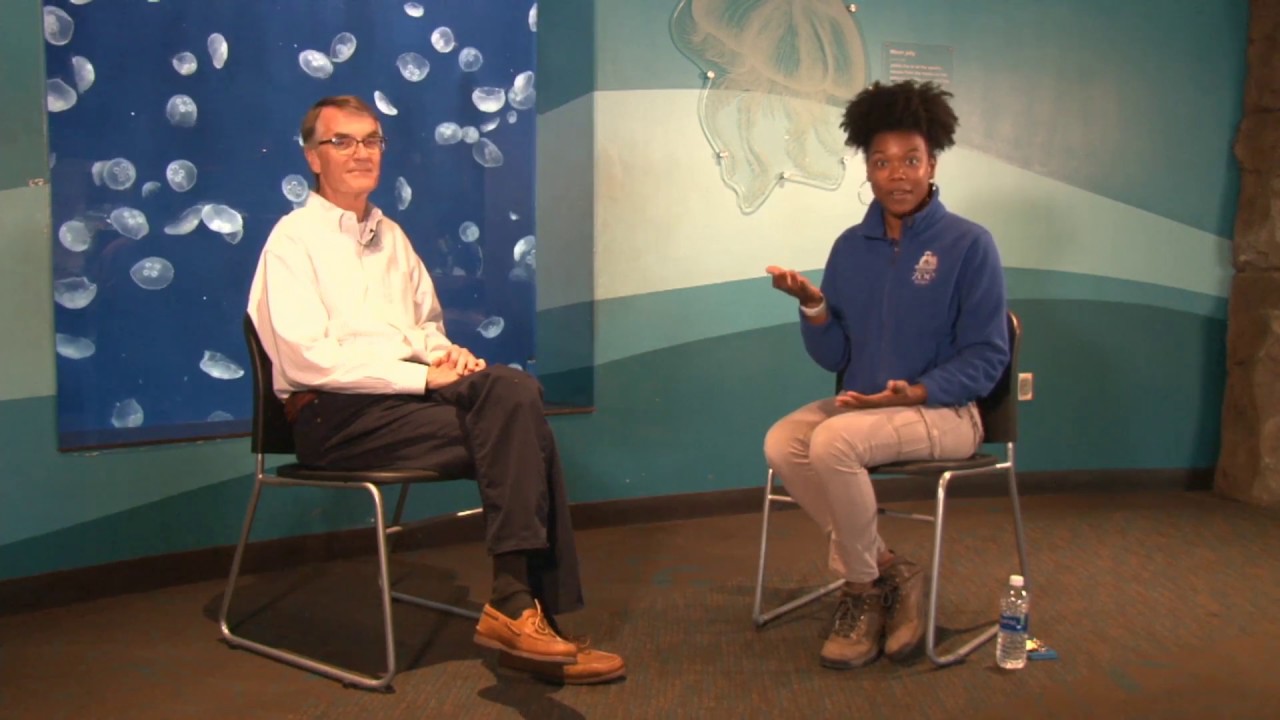 Discussing the Proposed KC Aquarium