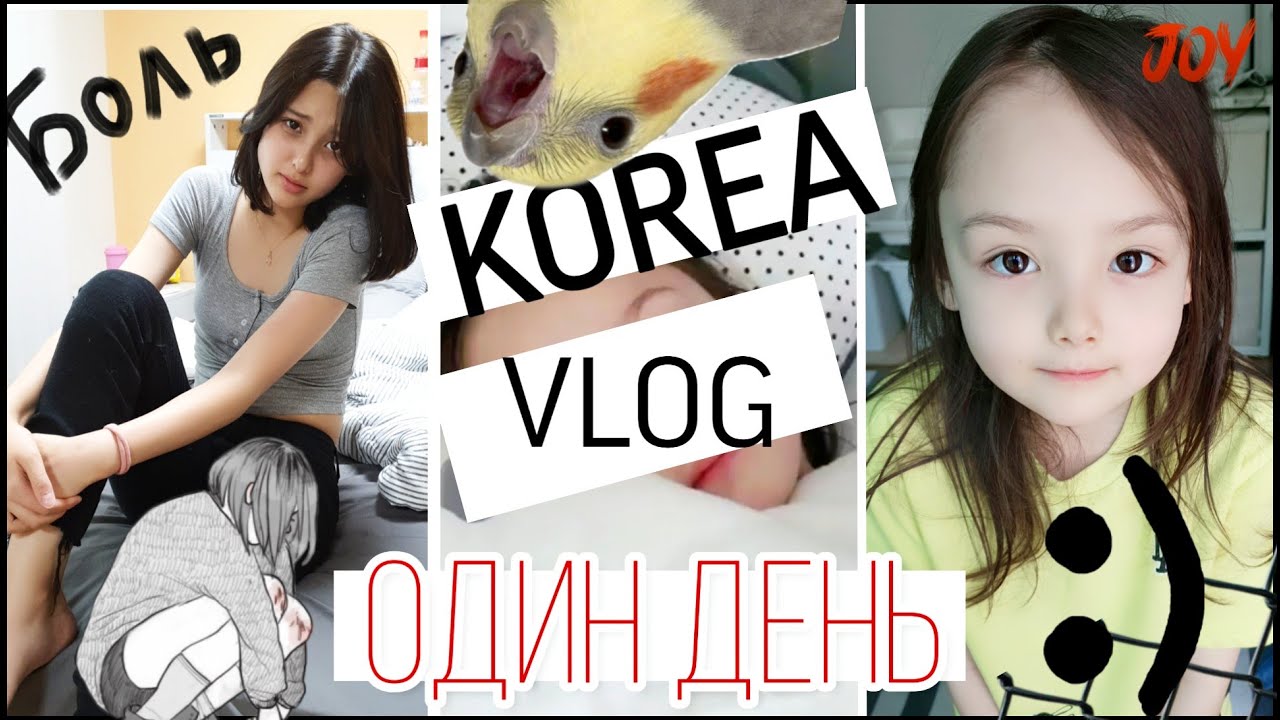 Один наш день в Южной Корее/ KOREA VLOG/