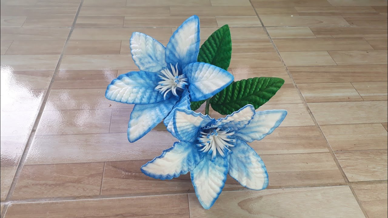 lindo lirio pipoca