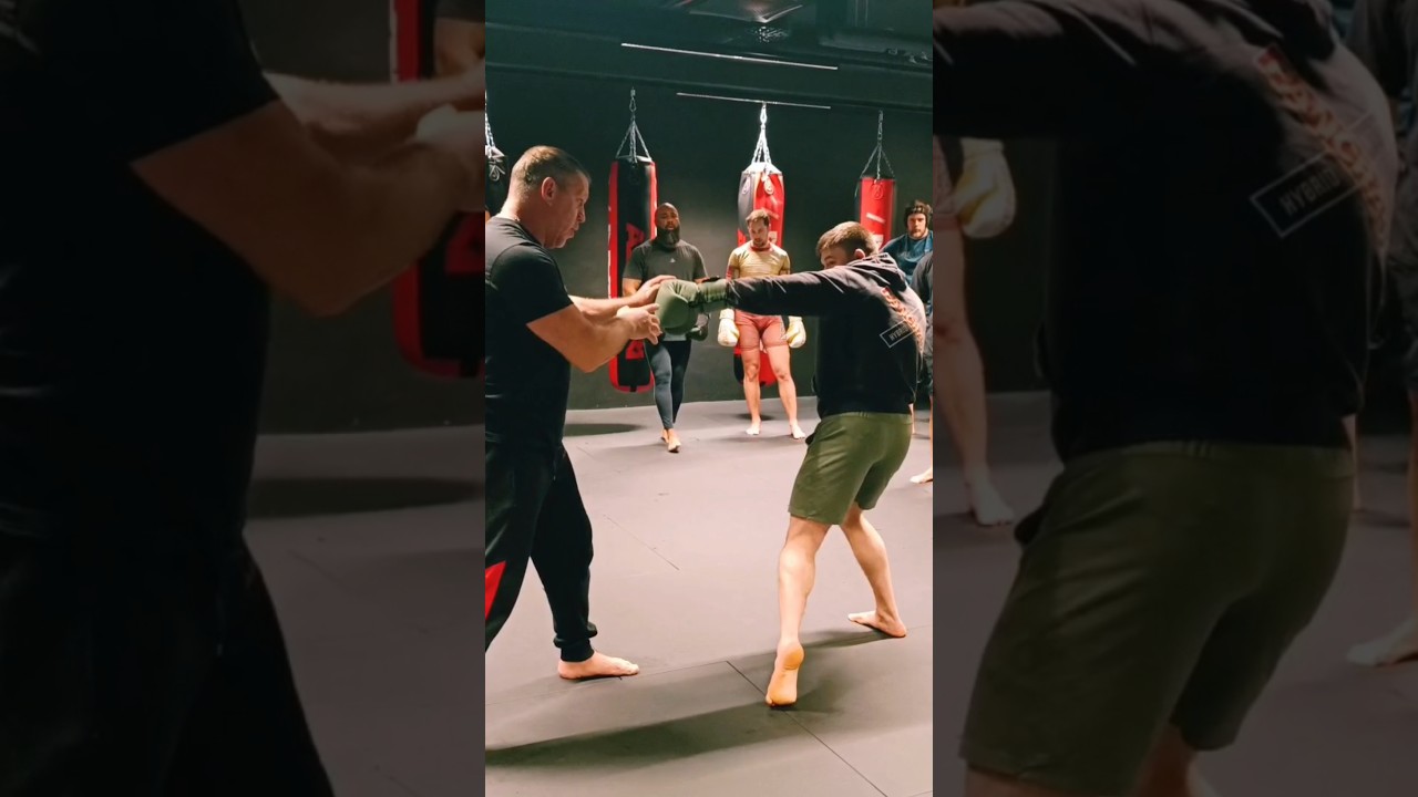 World class MMA Striking