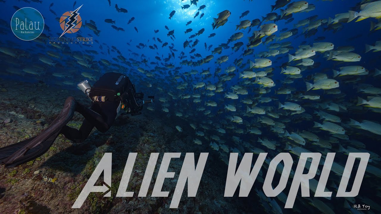 Alien Worlds. Peleliu Diving.