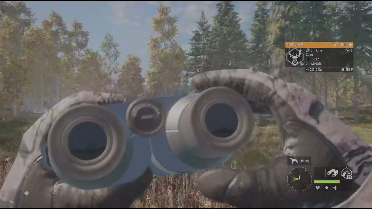 theHunter: Call of the Wild_20260220205045