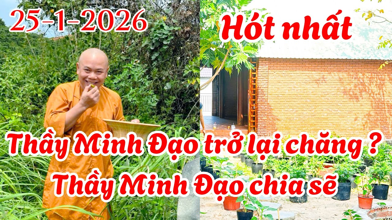 Thầy Minh Đạo chĩa sẽ chuyện nhập thất và trở lại ( Mới Nhất ) 
