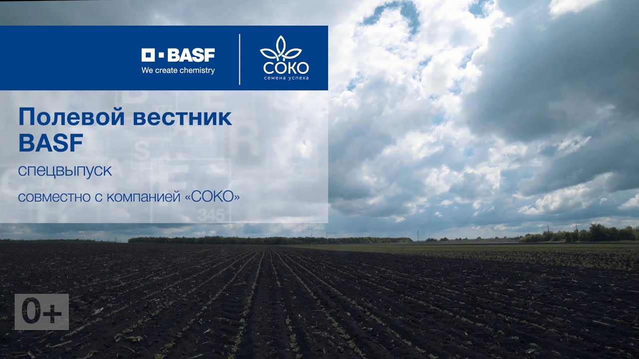 Полевой вестник BASF - Спецвыпуск 1 СОКО от 19.07.2021. Обработка сои