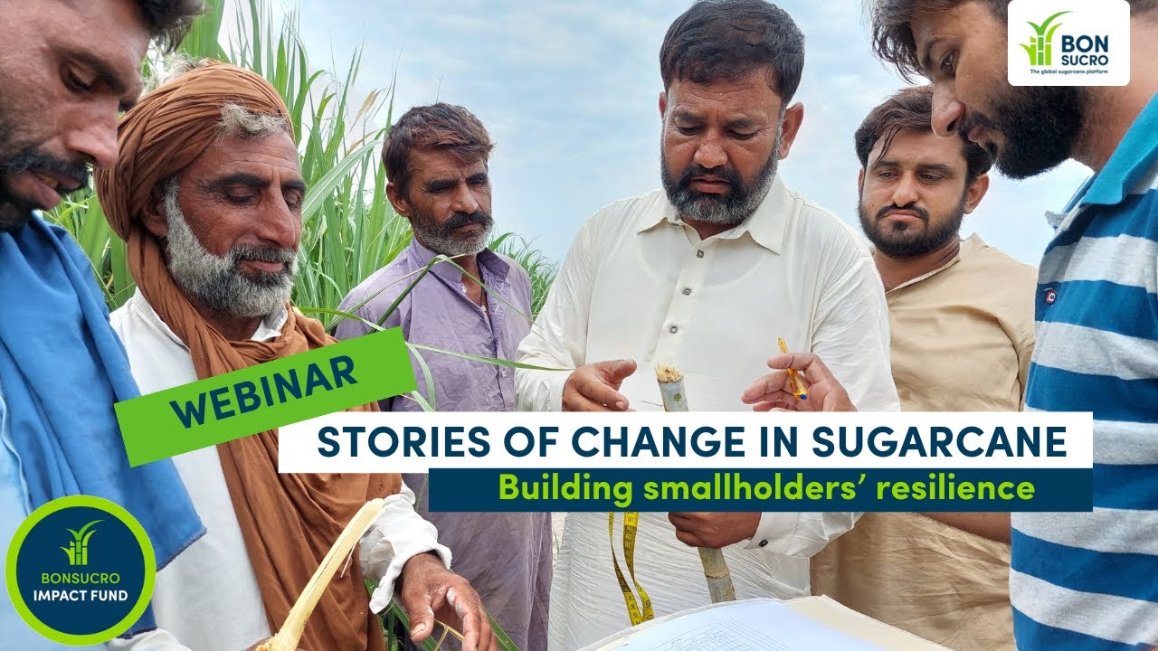 Stories of Change in Sugarcane: Building smallholders’ resilience