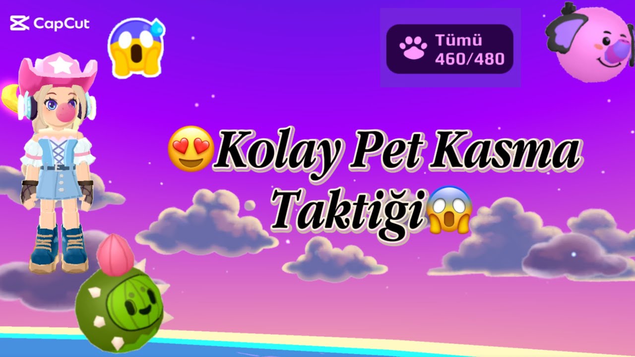 KOLAY PET KASMA TAKTİĞİ😍 | İlk videom💗