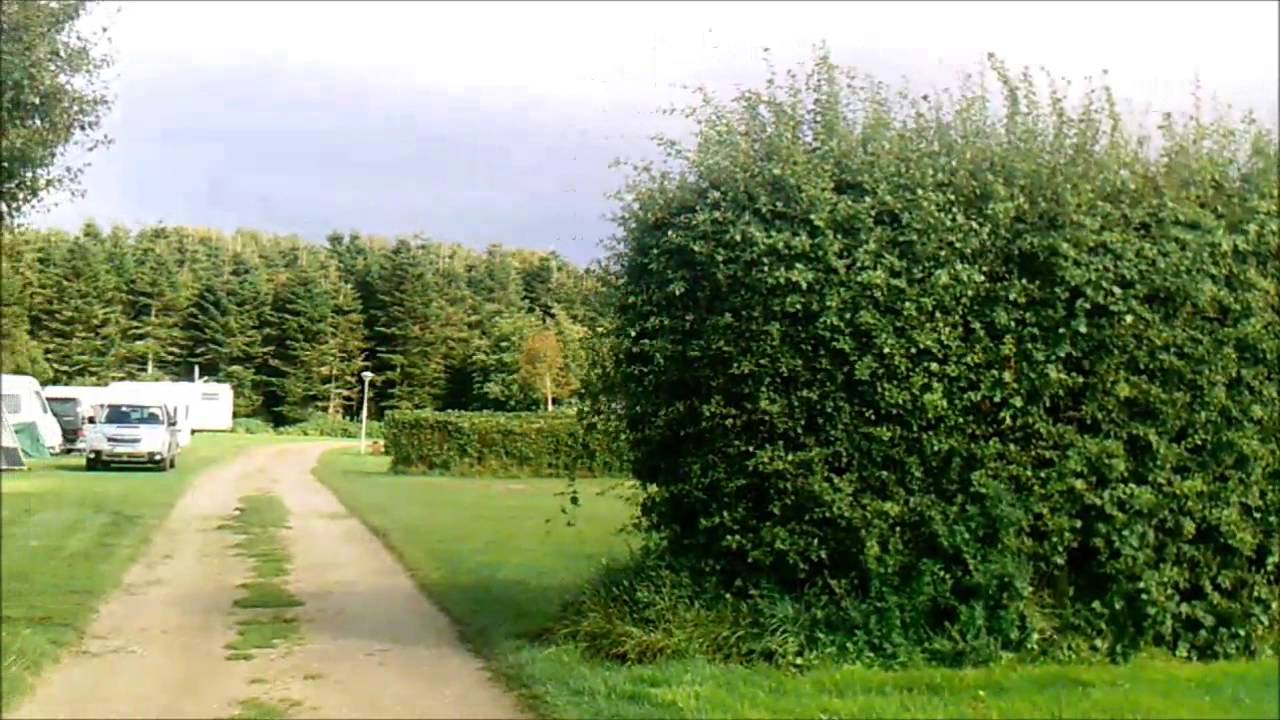 Augustenhof Strand Camping