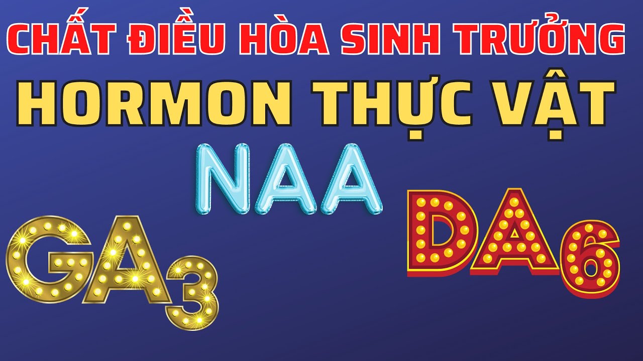 Chất điều h&ograve;a sinh trưởng GA3, NAA v&agrave; DA6 | Hormon thực vật Gibberellin, Auxin v&agrave; Cytokinin