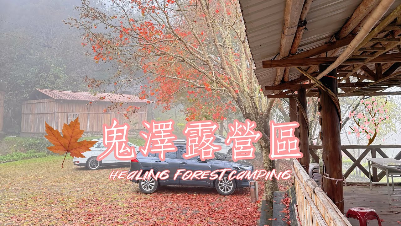 鬼澤157露營區/ 森林系療癒露營/新竹五峰海拔660公尺