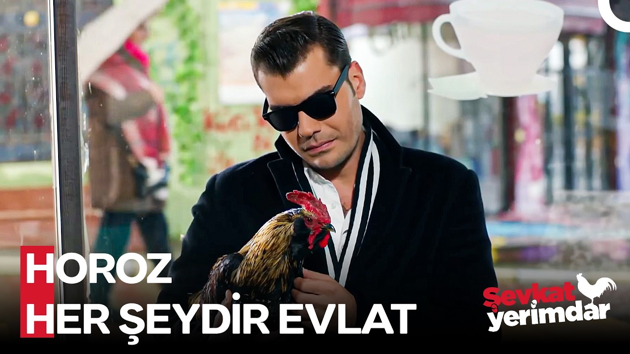 Gözlüğü Takan Bir Tribe Giriyor - Şevkat Yerimdar