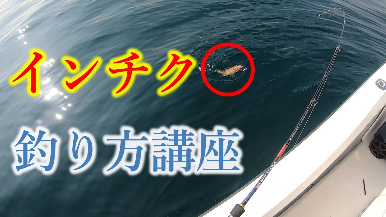インチク初心者がウンチク先生に聞く！インチクの使い方・釣り方講座で魚をゲット！　島根県出雲沖　遊漁船　小づちや　2020年　6月28日釣行