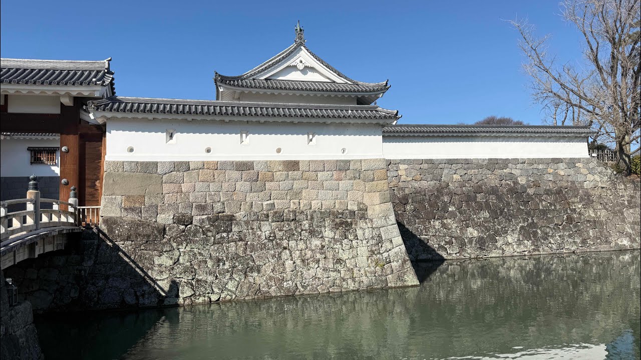 Yumeneko world food #164 Suruga Oarai and Tsuyama Feb 2026