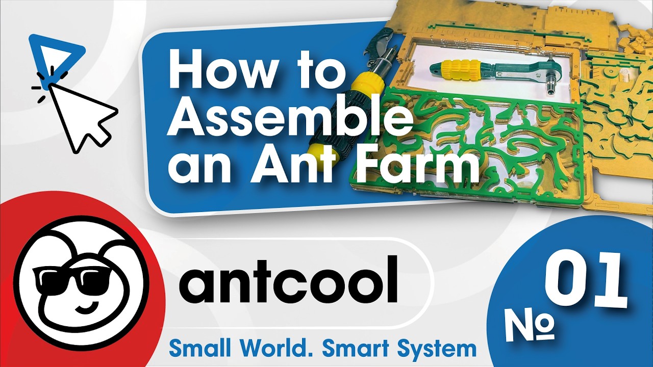 How to Assemble an Ant Farm (Formicarium Build)