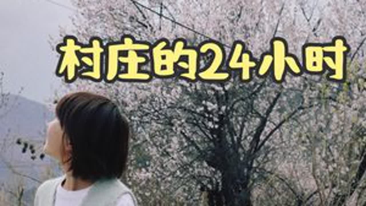 一个普通村庄的 24 小时#农村生活 #乡村烟火气最抚凡人心