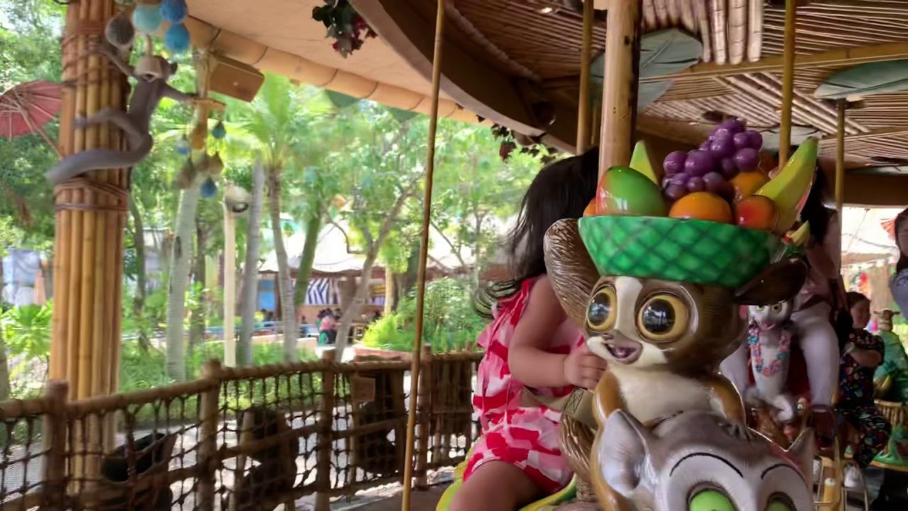 Happy merry go round
