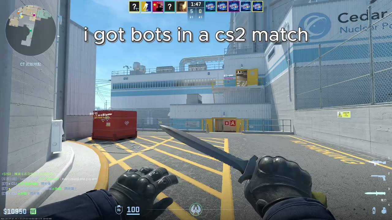 Bots in cs2???? i was playing a match but we found out that they are bots?