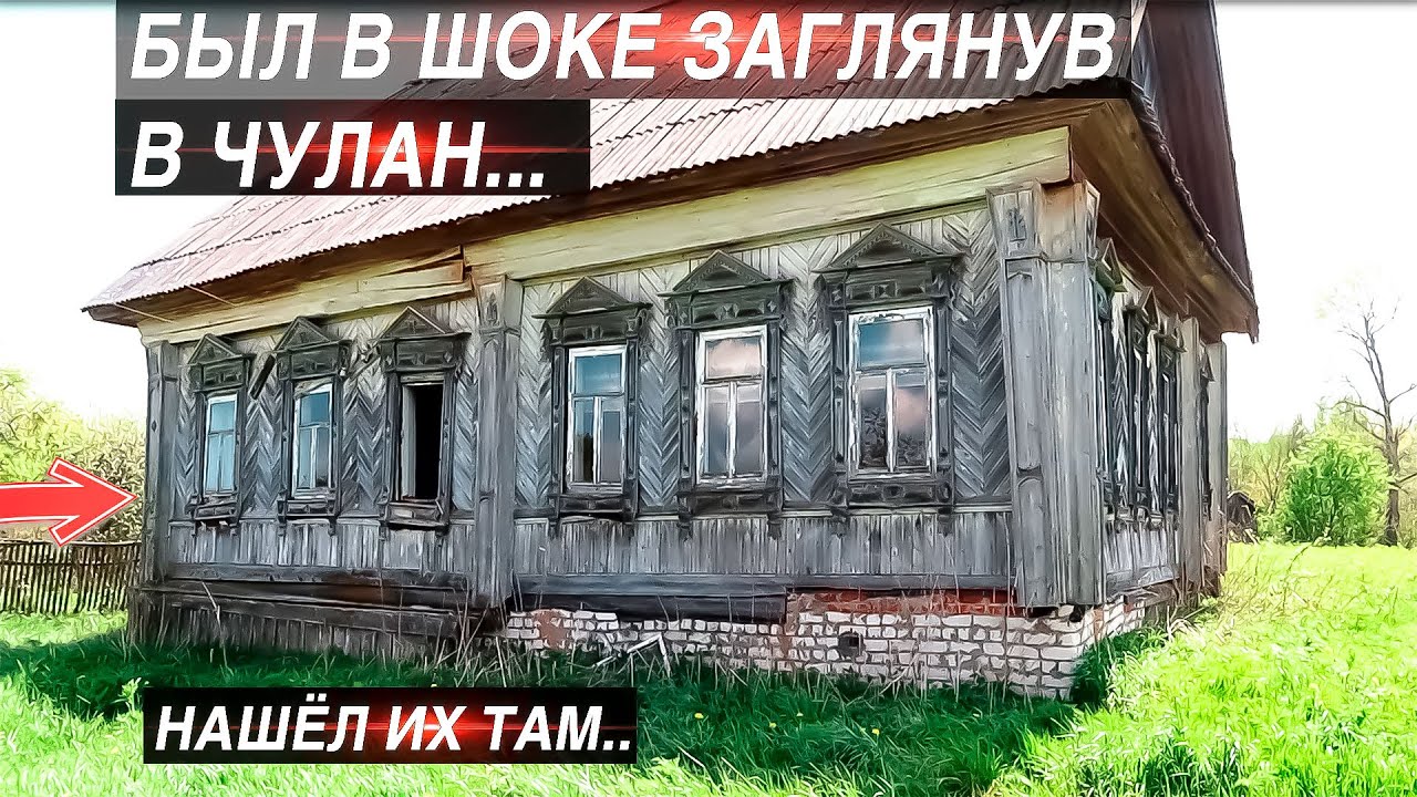 ОНИ БЫЛИ В ЧУЛАНЕ Заброшенного дома.Одинокий голубь сторожит дом в заброшенной деревне Максимовка