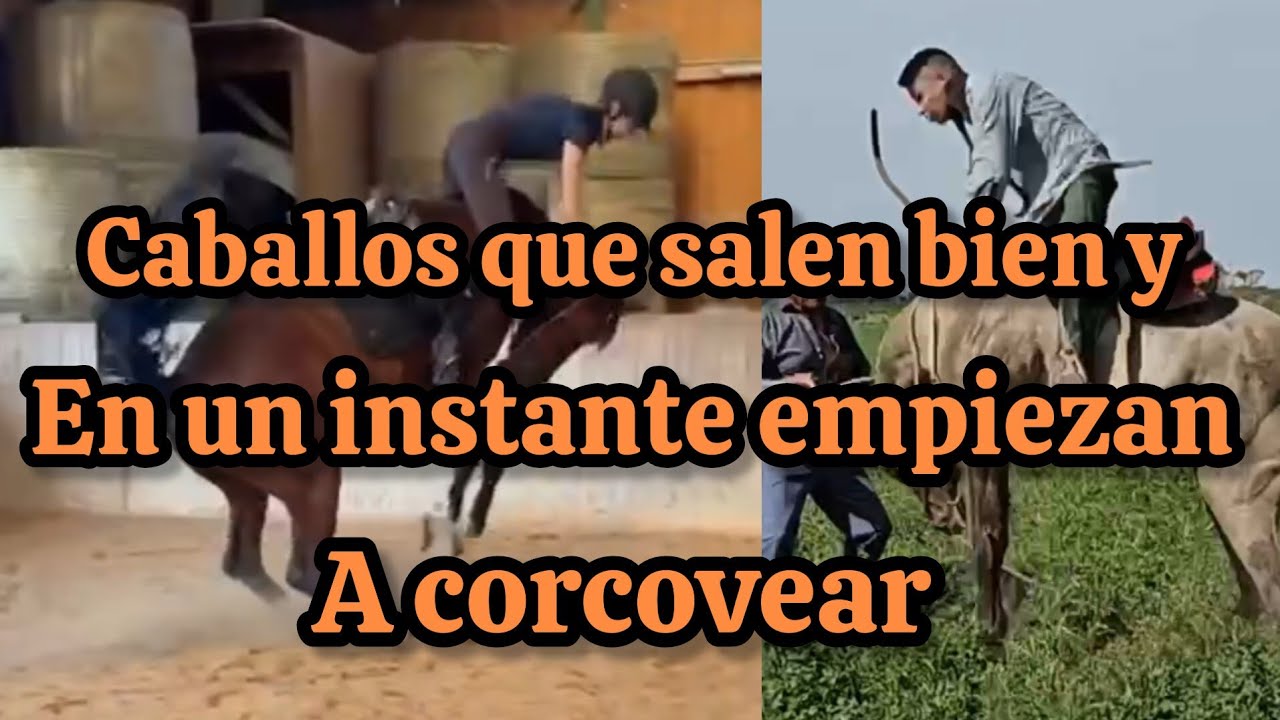 caballos que salen bien y en un instante empiezan a corcovear
