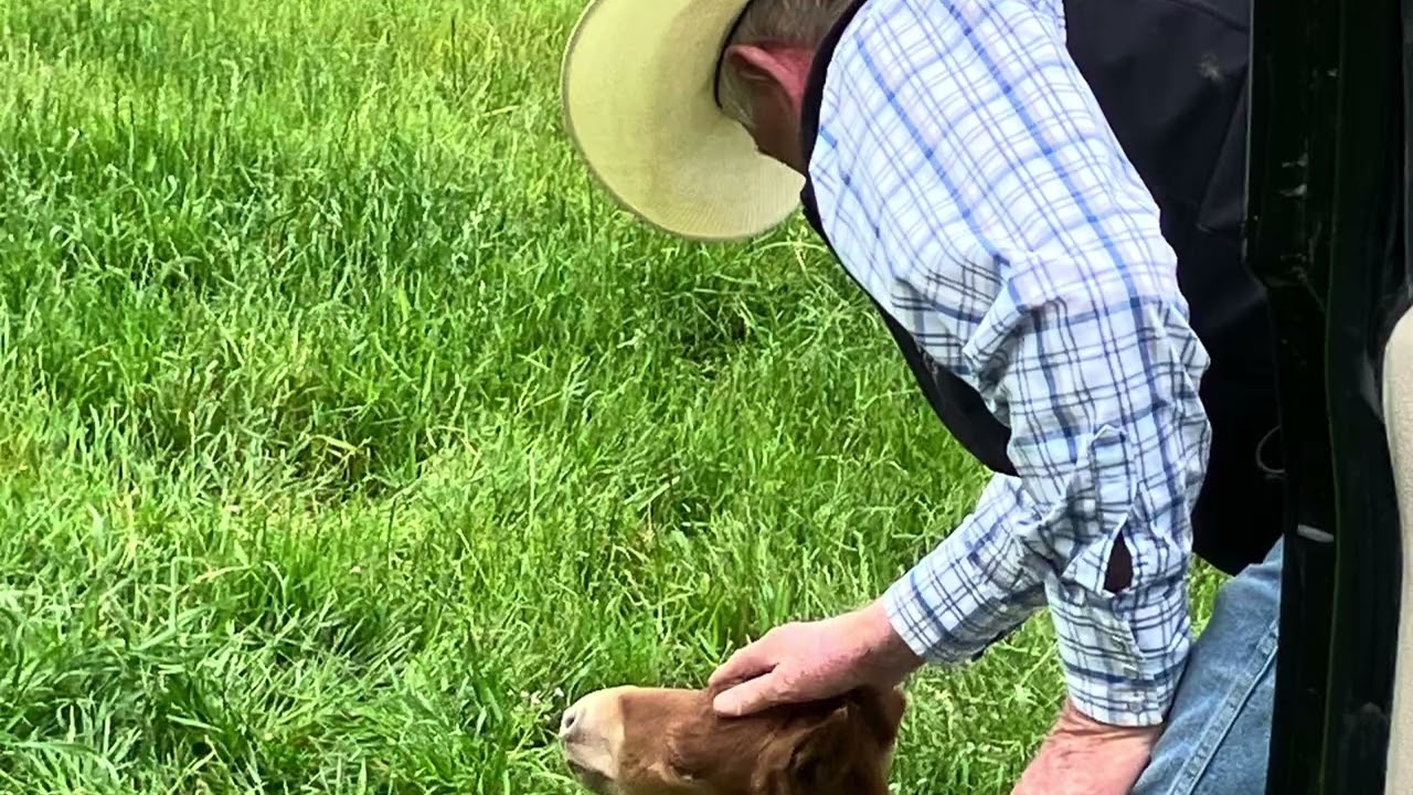 Box A Ranch 2025 recap