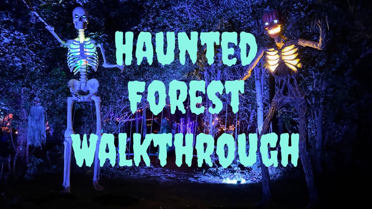 Haunted Forest Walkthrough 2024