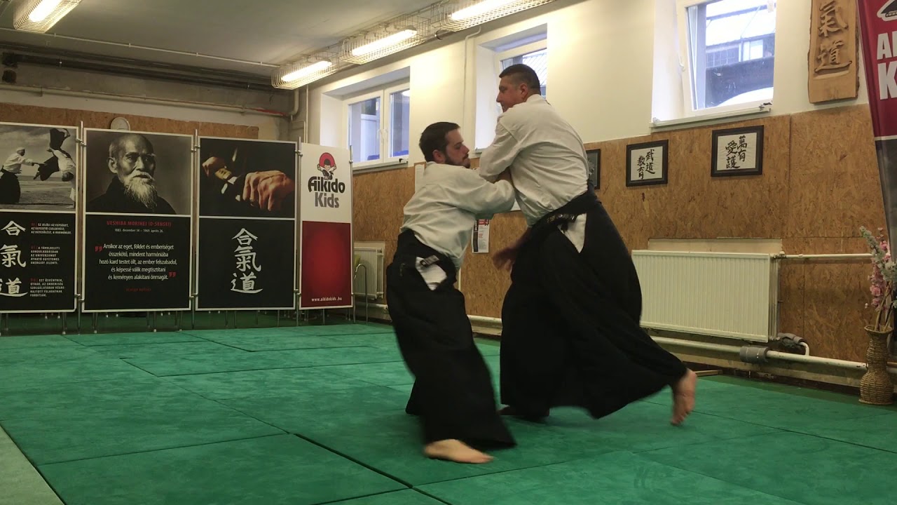 advanced Aikido- ryokatadori ikkyo~yonkyo, iriminage