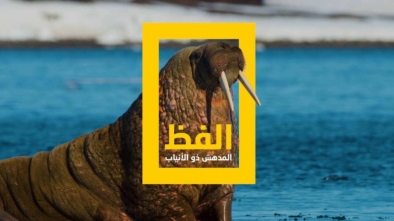 الفظ المدهش ذو الأنياب