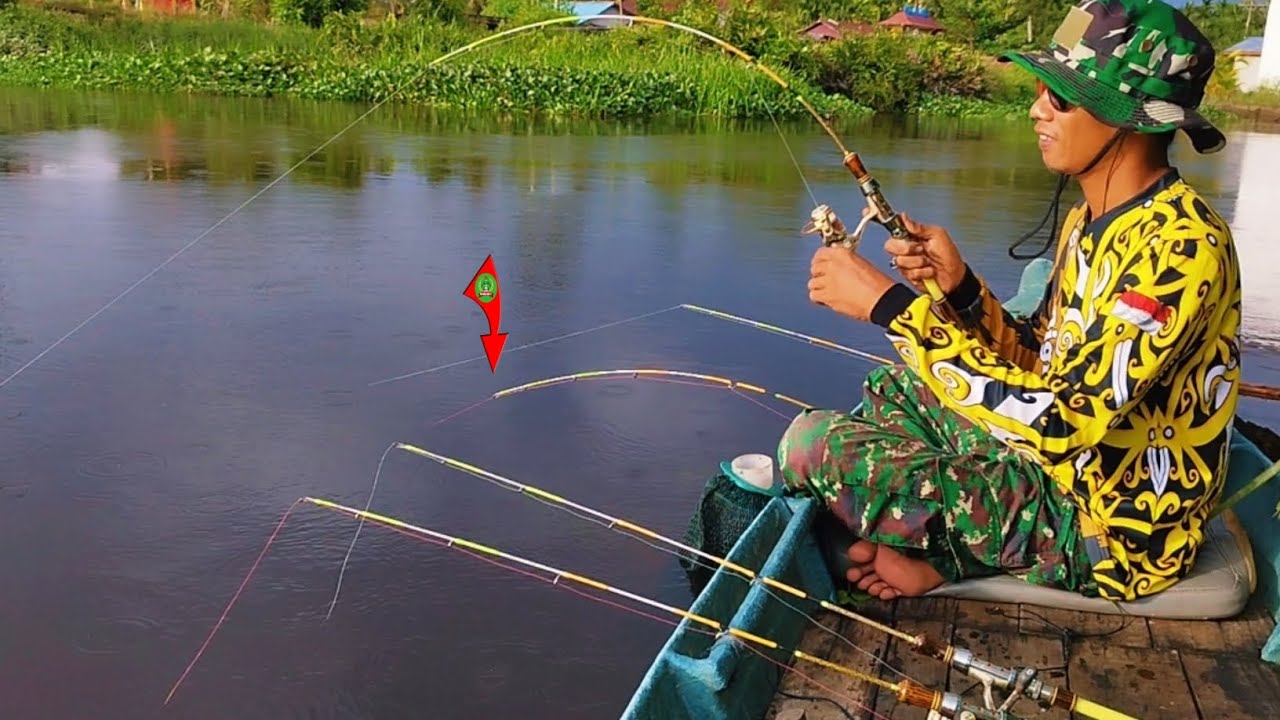 Ketika air bagus pemancing ini langsung pergi mancing udang galah