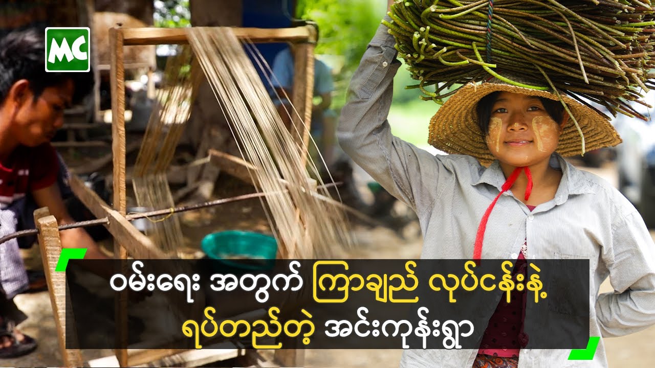 ဝမ်းရေး အတွက် ကြာချည် လုပ်ငန်းနဲ့ ရပ်တည်တဲ့ အင်းကုန်းရွာ