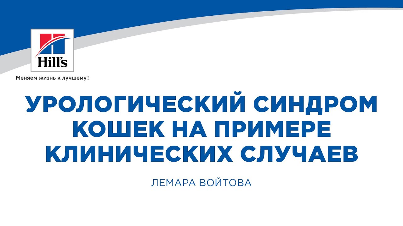 Вебинар на тему: “Урологический синдром кошек на примере клинических случаев”.
