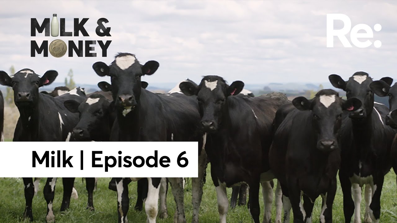 Why we may not need cows to make milk | Milk and Money | Episode 6