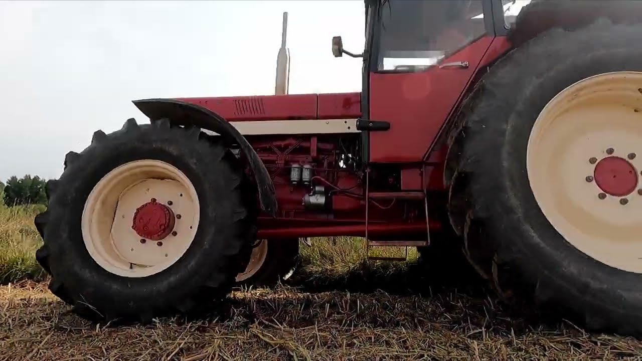 Ackern mit IHC 955 #ihc #viral #video #feed
