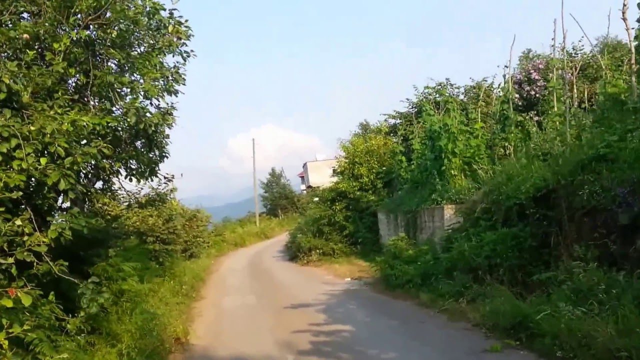 Trabzon / Arakli / Ayvadere / Aho