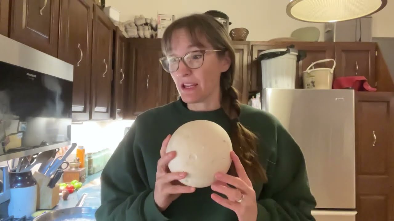 Preserve Puffball Mushrooms for stir fry and steaks in the winter!