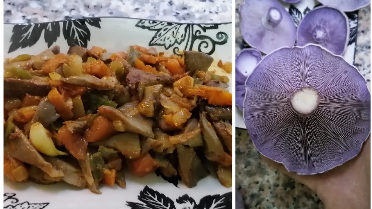 Mor Cincile  yemek tarifi, Mor cincile tarifi, Mantar nasıl pişirilir. Mavi cincile tarif.