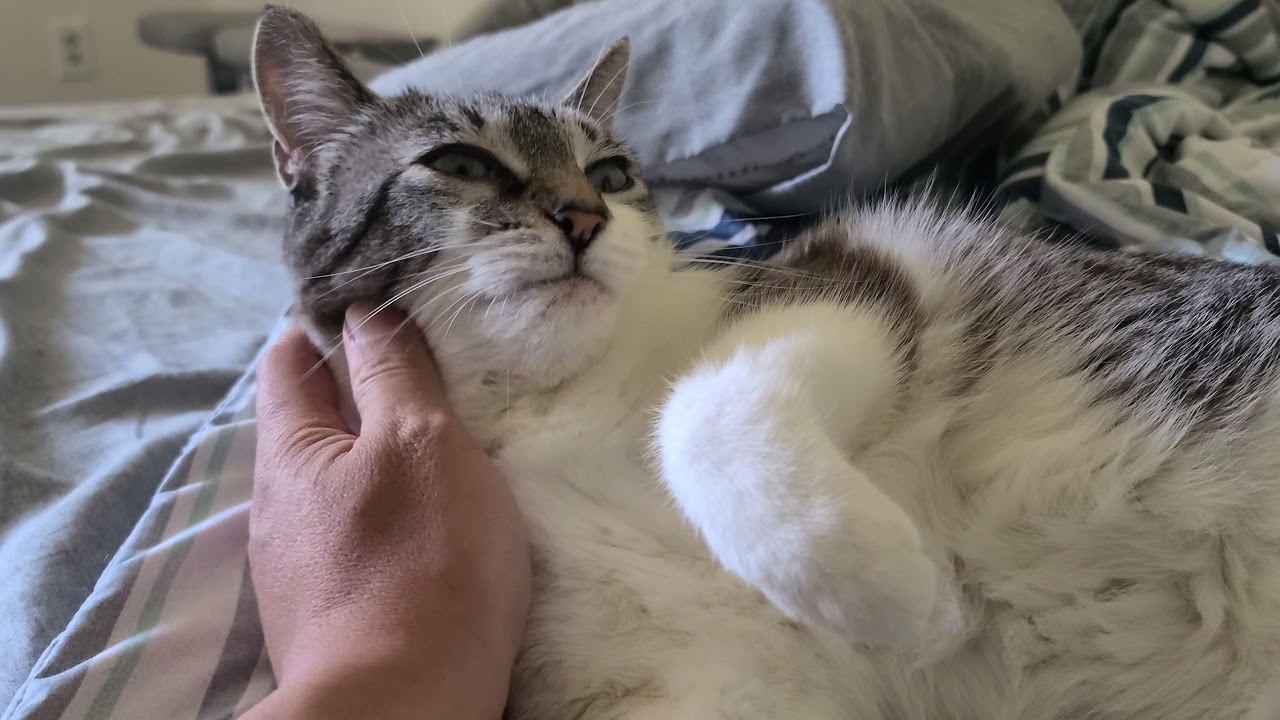 Massage for Blue