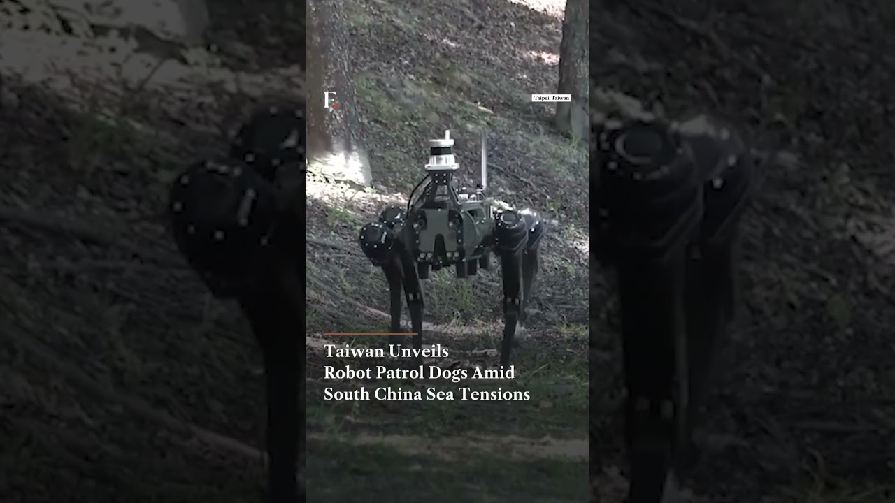 Taiwan Unveils Robot Patrol Dogs Amid South China Sea Tensions