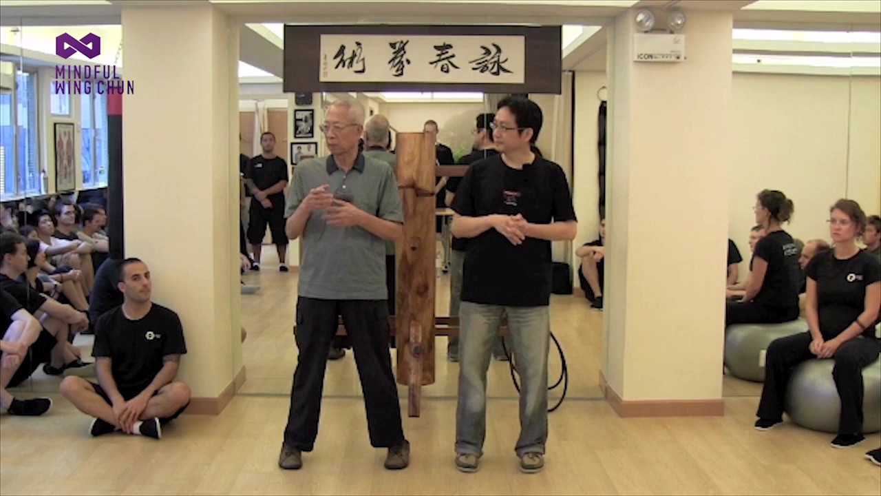 WING CHUN's 3 empty hand FORMS - Chu Shong Tin's description