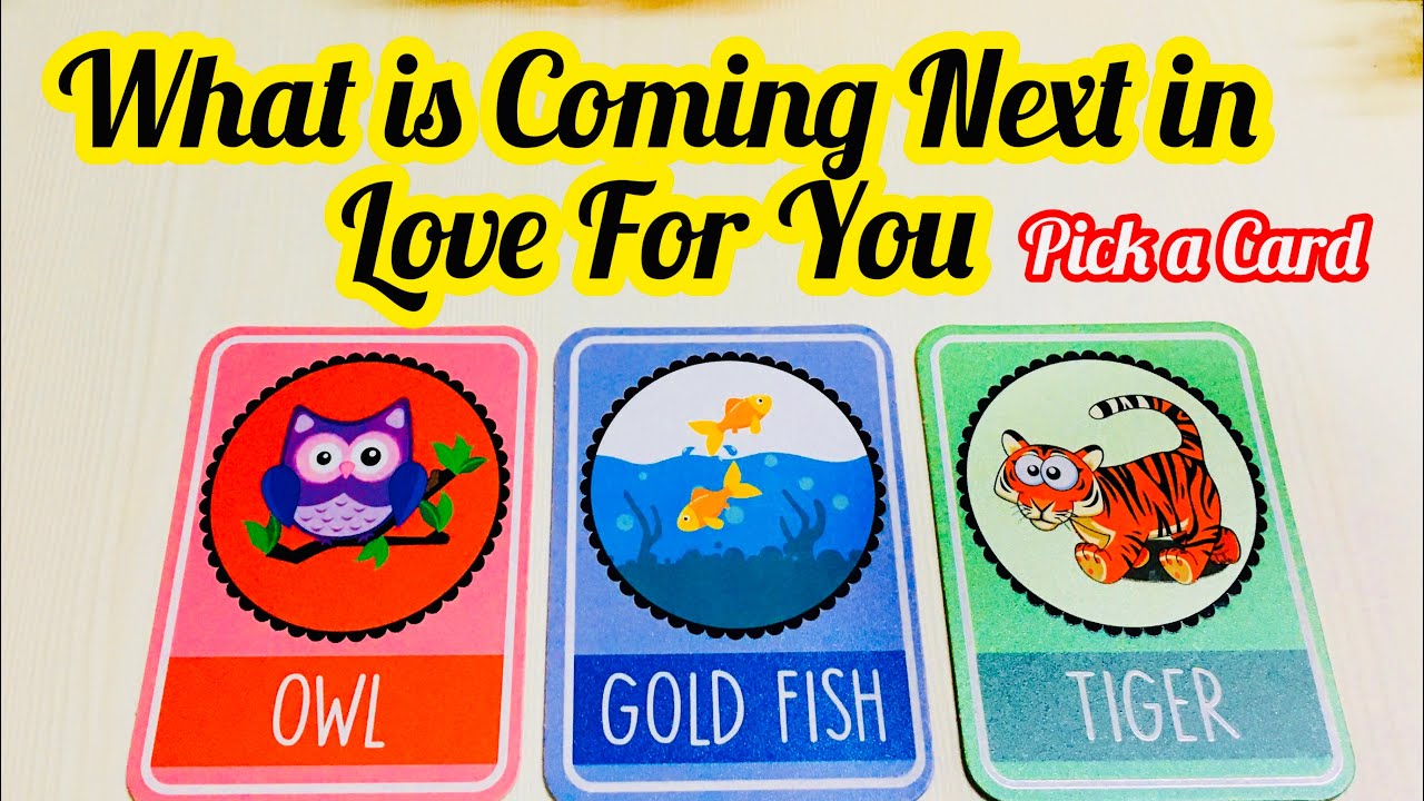Pick a Card- CHARMS- WHAT IS COMING NEXT IN LOVE- LOVE TAROT -TIMELESS- Magic Wands Tarot