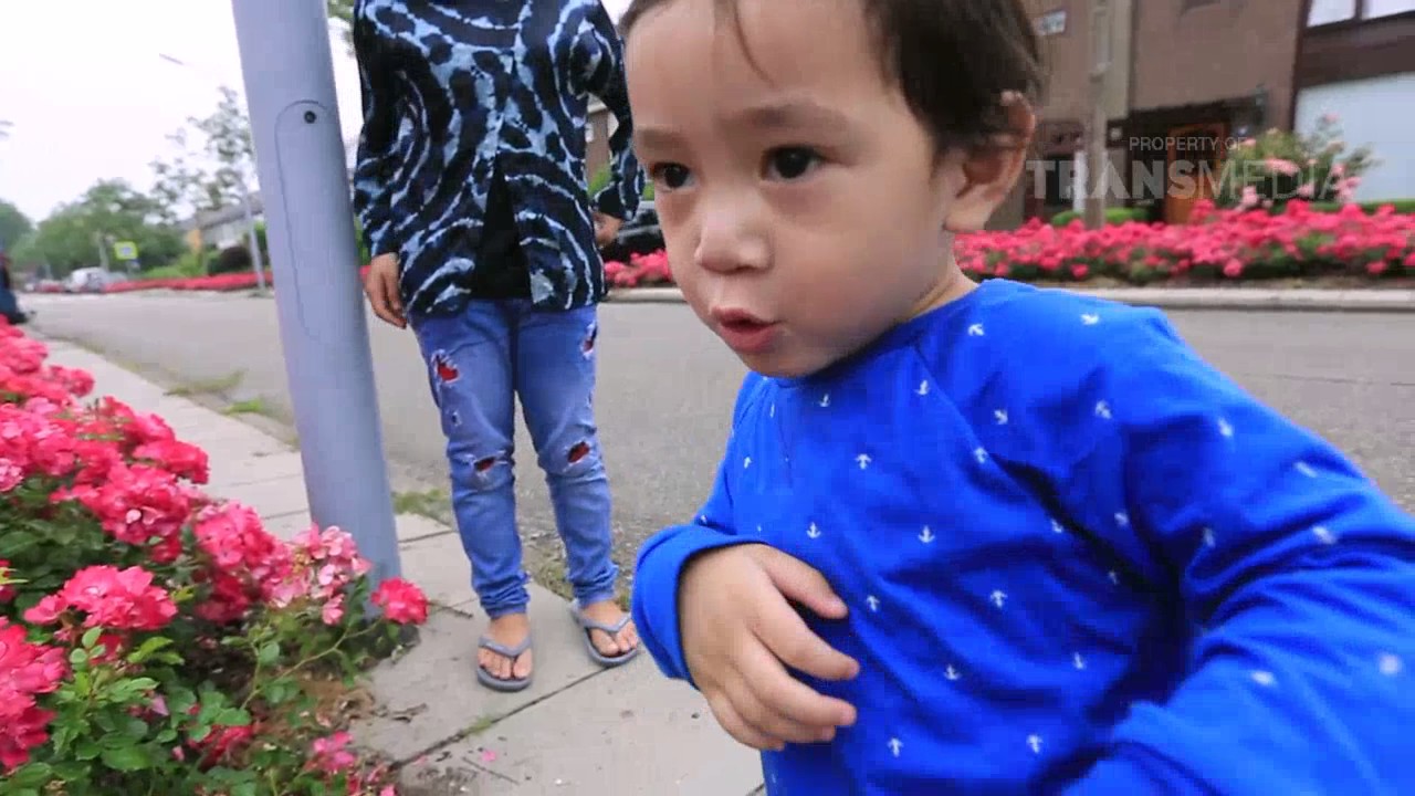 JANJI SUCI - Ransfathar Liburan Ke Belanda (18/06/2017) Part 1