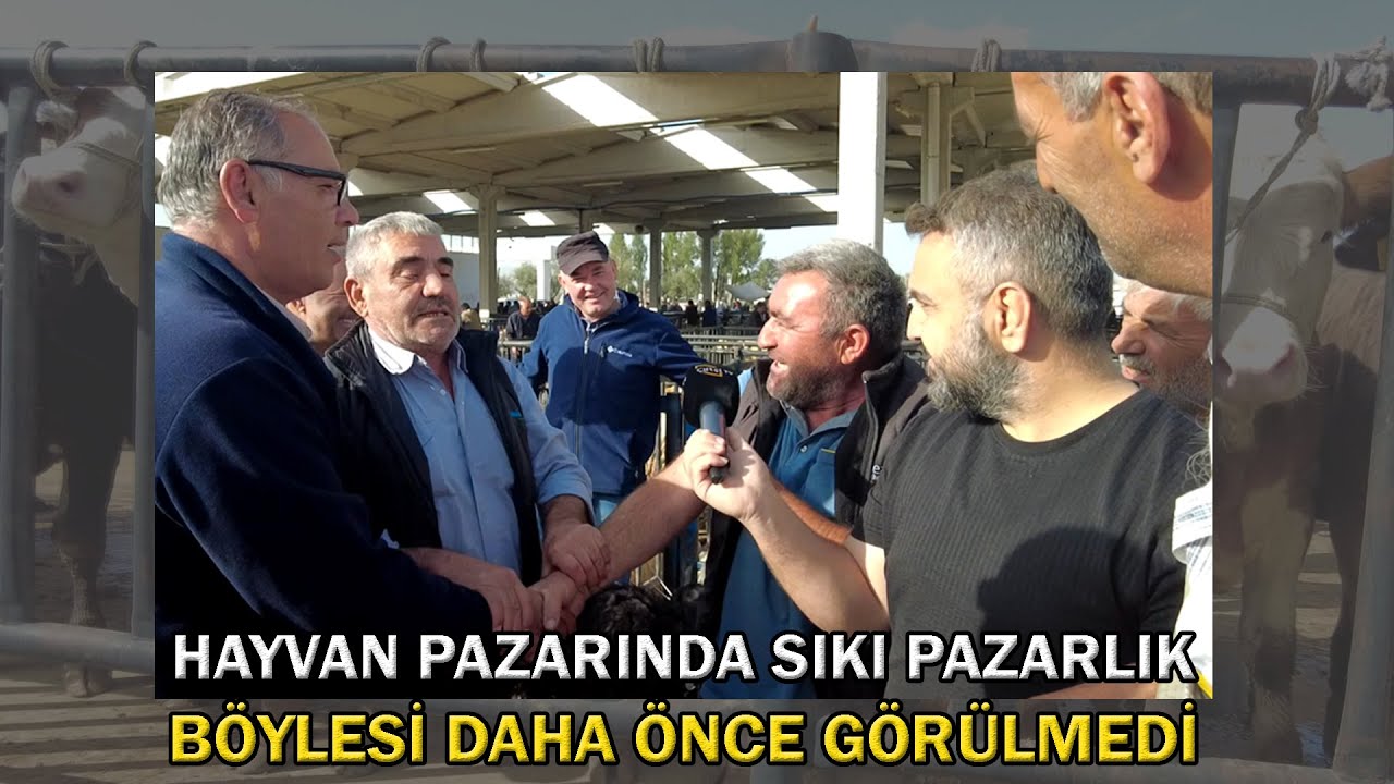 Konya Hayvan Pazarında Sıkı Pazarlık - Böylesi Daha Önce Görülmedi