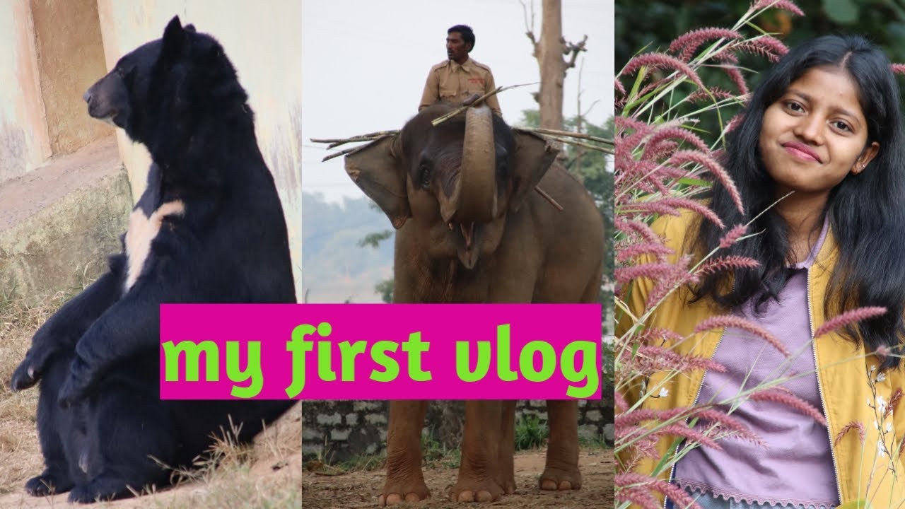 My first vlog 😋ormanjhi park ranchi🌿🦥🦣🦌