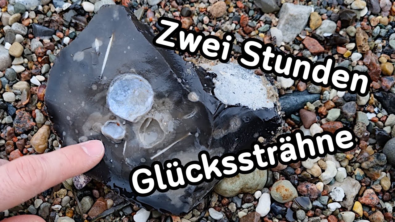 Die Glückssträhne - Fossilien suchen an der Ostsee