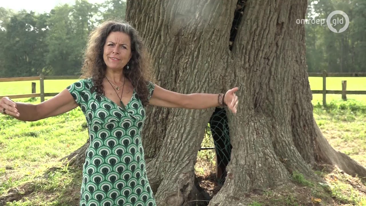 Staat de boom van het jaar in Gelderland?