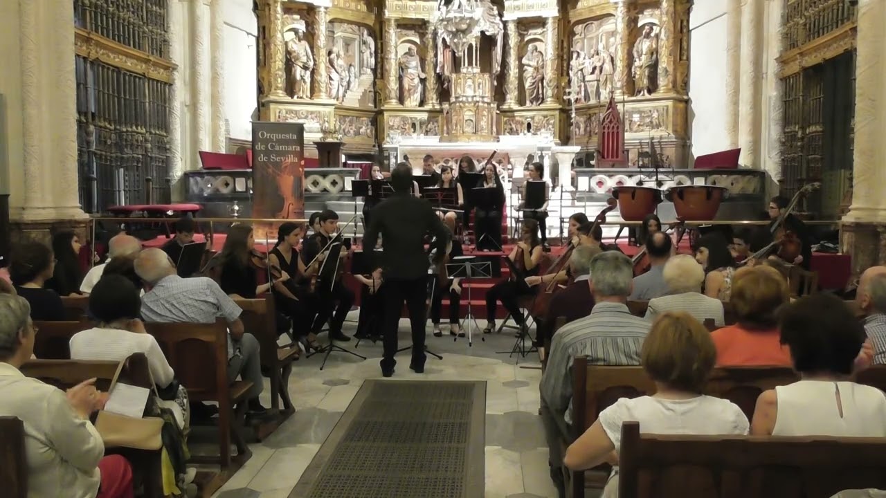 Vivaldi A.l.  