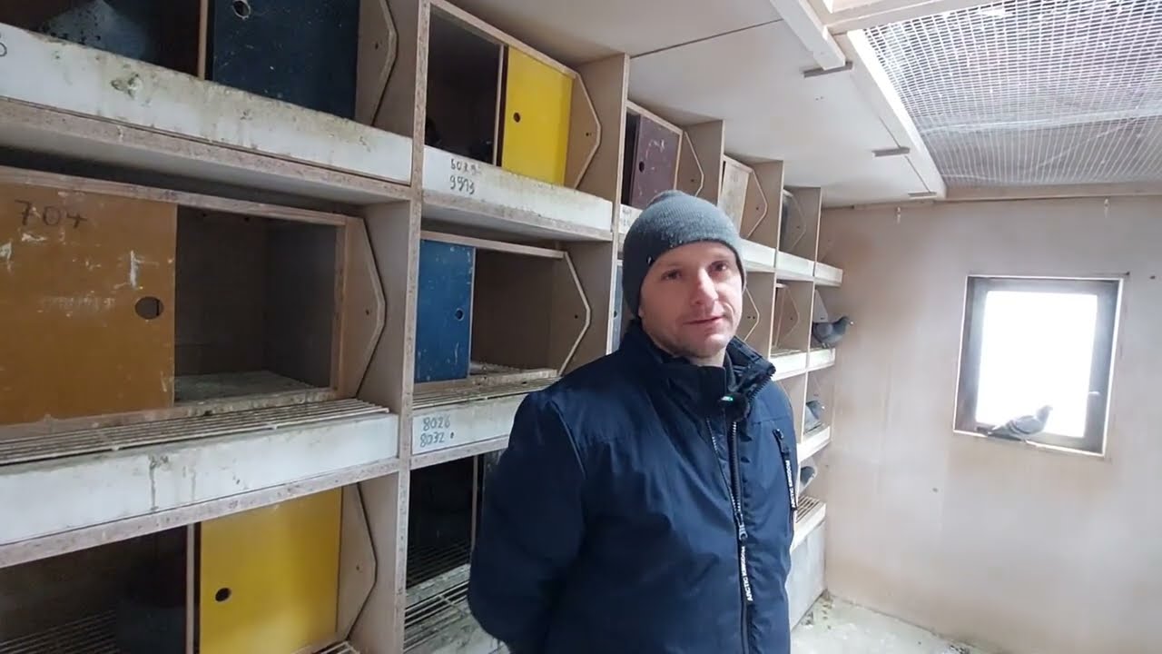 Tomasz & Michał Zając PZHGP 0263 Ozimek 