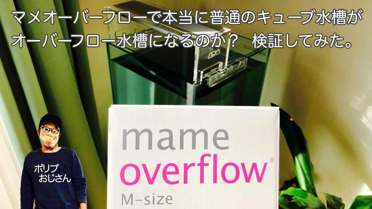 マメオーバーフローで本当に普通のキューブ水槽がオーバーフロー水槽になるのか？検証してみた。