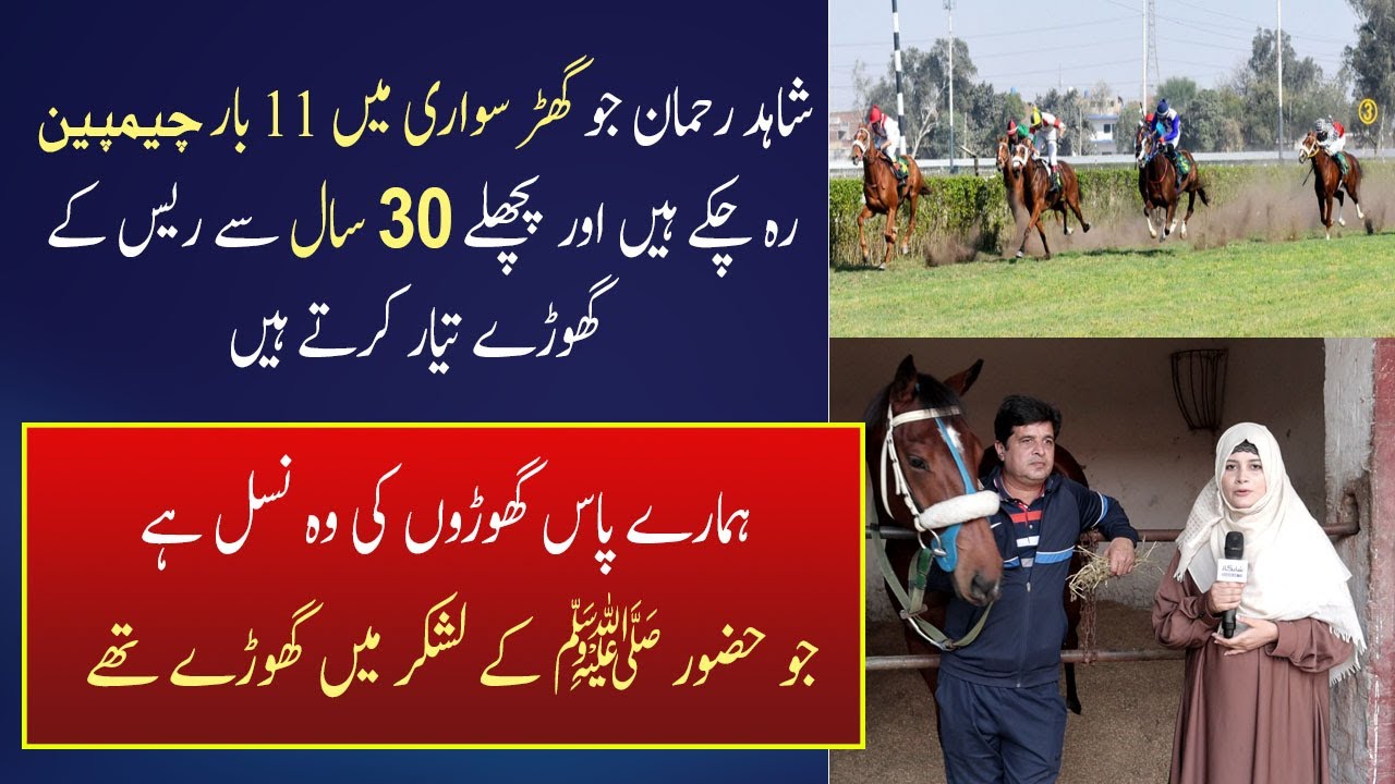 Shahid  11 Dafa Horse Ridder Champion Reh Chuka Hain–Jo 30 Saal Se Race Walay Ghoray Tyar karty Hain